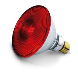 Резервна крушка Philips за лампа Beurer IL 21 и IL 35, 150 W