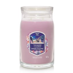 Yankee Candle Signature Large Jar 2 Wicks Summit Stargazing Universal