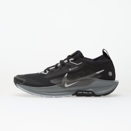 Сникърси Nike Pegasus Trail 5 Gtx Black/ Wolf Grey-Cool Grey-Anthracite-Reflect Silver EUR 42.5