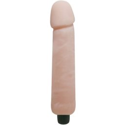 BAILE - BAILE VIBRATORS