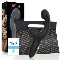 IBIZA TECHNOLOGY