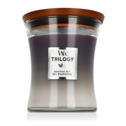 WoodWick Trilogy Warm Woods Ароматна свещ 275 g тип Amethyst Sky