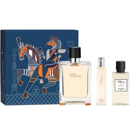 Hermes Terre D'Hermes Комплект (EDT 100ml + EDT 15ml + AS Lotion 40ml) за Мъже