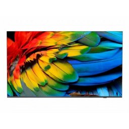 PHILIPS 65inch Professional TV Media Suite Android