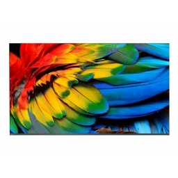 PHILIPS 58inch Professional TV Media Suite Android