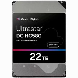 Western Digital HDD Server WD WUH722422ALE6L4