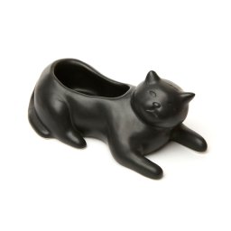 Саксия Black cat