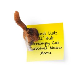 Магнити Котешки опашки