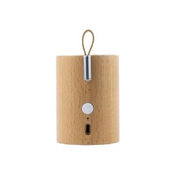 GINGKO Bluetooth колонка и лампа - бук