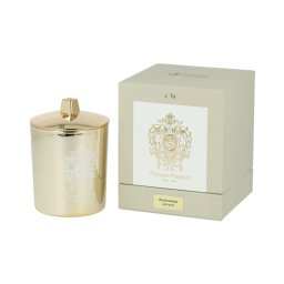 Tiziana Terenzi Andromeda Ароматизирана свещ в златно стъкло 170 g + Капак UNISEX