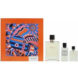 Hermes Terre D'Hermes Комплект (EDT 100ml + EDT 12.5ml + After Save Balm 40ml) за Мъже