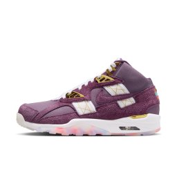 Сникърси Air Trainer SC SP Pro Purple/ White-Sail-Metallic Gold EUR 43