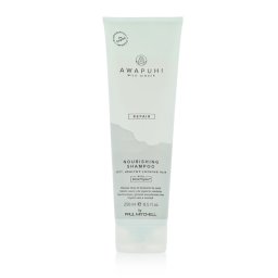 Paul Mitchell Awapuhi Wild Ginger Repair Nourishing Shampoo 250 ml