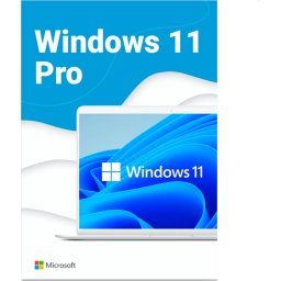 Програмен продукт Microsoft Windows Pro 11 64-bit Eng Intl USB RS