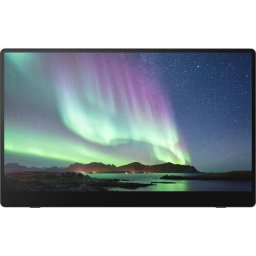 Преносим тъч монитор RICOH 150BW - 15.6" OLED FHD