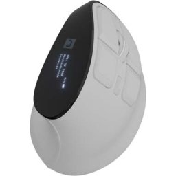 Мишка Natec Euphonie Vertical Mouse PRO Wireless BT 5.0, 4000DPI Silent, Programmable, White