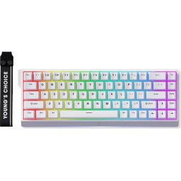 MCHOSE геймърска механична клавиатура Ace 68 - 8K, Ice Blue Magnetic Switch White