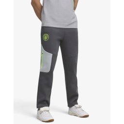 PUMA x Manchester City Tech Ripstop Pants Gray