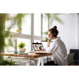JABRA Evolve2 50 USB C/A UC Stereo