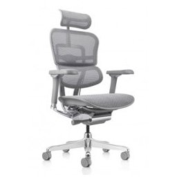 Работен стол Antares ERGOHUMAN 2 ELITE GREY, до 159кг, мрежа, синхронен механизъм, регулируеми подлакътници, регулируема облегалка, лумбална опора, коригиране на височината, сив