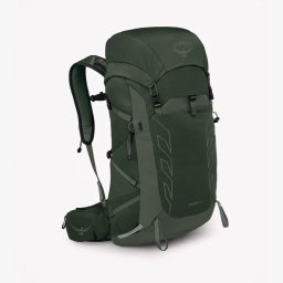 Раница Osprey Talon 33 Green Canopy/ Pine Leaf Universal