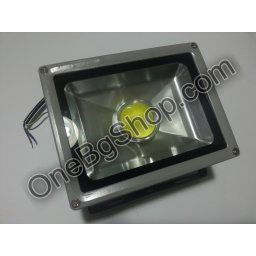 Външен LED прожектор с лупа Led 20W