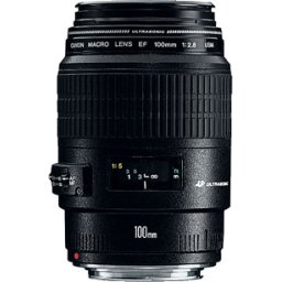 Canon EF 100mm f/2.8 Macro IS USM