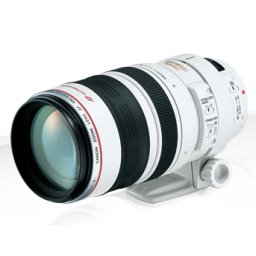 Canon EF 100-400mm f/4.5-5.6L IS II USM