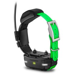 Garmin TT 15 каишка за следене и обучение на кучета