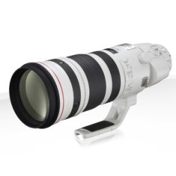 Canon EF 200-400mm f/4L IS USM Extender 1,4x