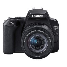 Canon EOS 250D, 24.1 Mpixels + Canon EF-S 18-55mm f4-5.6 IS STM