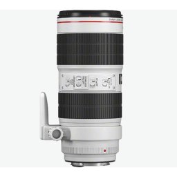 Canon EF 70-200mm f/2.8L IS III USM
