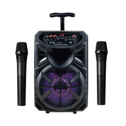 8" Bluetooth Тонколона с вграден акумулатор, МП3 плейър от SD карта и флашка, Блутут и 2 безжични микрофона за караоке RANCORE X11