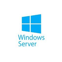 Microsoft Windows Server Datacenter 2019 (9EA-01044)