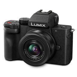 Panasonic Lumix DC-G100 + Lumix G-VARIO 12-32mm f/3.5-5.6 ASPH. MEGA O.I.S.