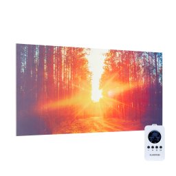 Klarstein Wonderwall Air Art Infinite, инфрачервен нагревател, картина, 120 x 60 см, 720 W, за стената, дистанционно управление (ACO10-WdwlArAtInfFrs)