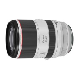 Canon RF 70-200mm f/2.8 L IS USM