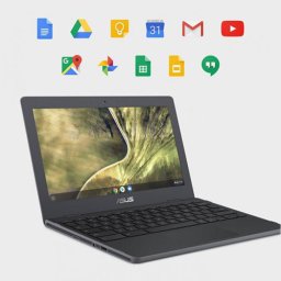 Asus Chromebook C204EE-GJ0219