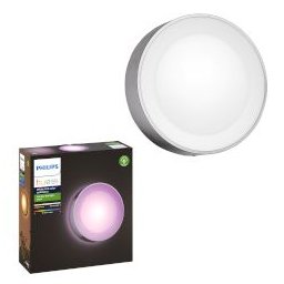Hue Daylo Wall Lantern Spotlight Inox