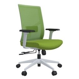 Работен стол RFG Snow W, до 120кг. макс тегло, дамаска, лумбална упора, зелен