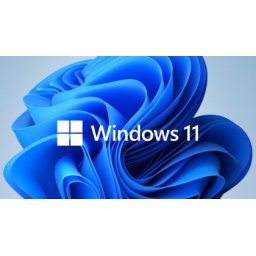 Програмен продукт с лицензен стикер Microsoft Windows 11 Home 64Bit Eng Intl 1pk DSP OEI DVD