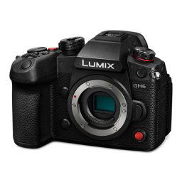 Panasonic Lumix DC-GH6 Body, 25,2MP + Leica DG Vario-Elmarit 12-60mm f/2.8-4 ASPH. POWER O.I.S.