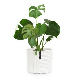 Fox & Fern Саксия Hasselt от полистоун, ръчна изработка, подходяща за растения в 3D вид. (PP-MUTI-M-SA)