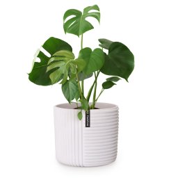 Fox & Fern Саксия Hasselt от полистоун, ръчна изработка, подходяща за растения в 3D вид. (PP-MUTI-L-MW)