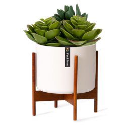 Fox & Fern Thorn, саксия, със стойка, стил 50-те, 2 размера (PS-TT-ACACIA-WIDE-W)