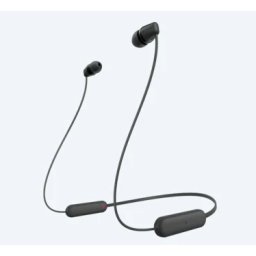 Sony Headset WI-C100
