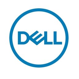 Dell PERC H755 Adapter, Compatible with T150, T350, R250, R350, R650, R7525
