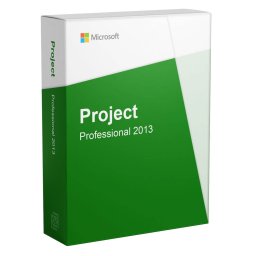 Microsoft Project 2013 Professional
