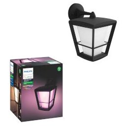 Hue Econic Down Wall Lantern Spotlight