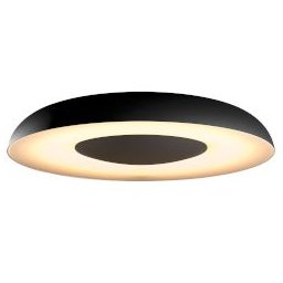 Still Hue Ceiling Lamp Black